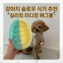 강아지 밥그릇 추천｜실리킹 미디엄 에그볼 후기 급체방지 반려견 용품 추천