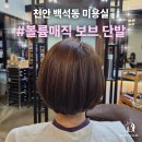 천안 백석동 미용실 다온헤어 : 뒤태까지 완벽한 볼륨매직 보브 단발의 정석 ✨