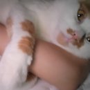 강남대로37길 23 (1) 이미지