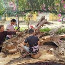 홍정농장 이미지