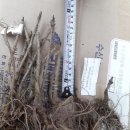 주현3농장 이미지