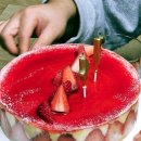 서초대로25길 37 이미지