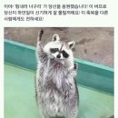 길가다 초등학생 실내화가방에 정강이털림... 이미지