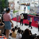 로비콘서트 이미지