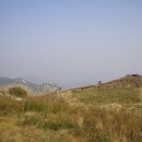 억새2축구장 이미지