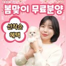 대실역남로4길 이미지