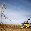 선임농장 이미지