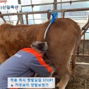 신일농장 이미지