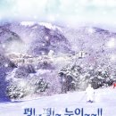 고고씽 Daum카페