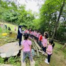 서부지방산림청(정읍국유림관리소) 이미지