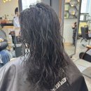 딸기애견미용실 | [의정부 민락동 미용실 추천] 그냥 미용실 클리닉 케어