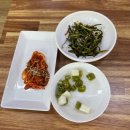 개정 닭 오리