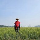 탄금공원 이미지