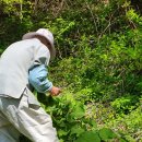 제천삼보수소충전소 이미지