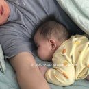 오빠가 데리러 갈 개 이미지