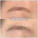 로아르헤어