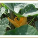 광희농장 이미지