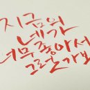 행운로또복권