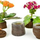 양조 혁신: 커피 찌꺼기를 사용한 3D 프린팅으로 카페인 함유 제품 제작 이미지