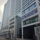 지정타 공인중개사사무소 | 과천시 상권 완전 분석/ 과천상가임대 /과천 창업 길라잡이