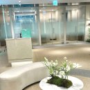 청담한방병원 | 청담 다이어트 한약, 후기만 보면 나도 5kg 감량 될까?