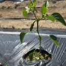 방아다리쉼터1 이미지