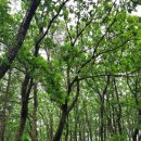 승우목장 이미지