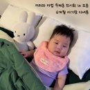 이웃집돼지 | [문스룸]*청주 아기랑*미피와 마법 우체동 in 오송 - 6개월 아기랑 전시회│청주 오스코│청주 전시회