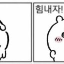 아오돈