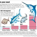 美 컨슈머 리포트 &#34;임신부, 참치 먹지 마라! 이미지