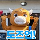 청도곤충나라
