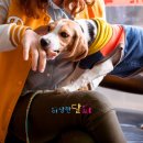 화랑동물병원 이미지