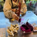 주인공원 (옥외1) | 대만 타이베이2일차 예스폭지 일일 버스투어 후기 라오허제 야시장 예류지질공원