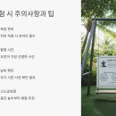 스윙 | 우붓 스윙 체험 후기 하늘을 나는 듯한 발리 감성 여행