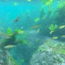 구산비치모텔 이미지