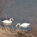 아리랑다방 이미지