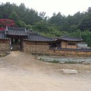 우포1대로 이미지