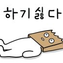 이튼치과