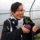 품속농장 이미지