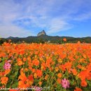 진안읍 1416 이미지