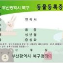 고고동물병원 이미지