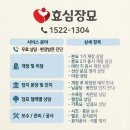 효심장묘 - 금산군 은행나무길 45 | 효심장묘