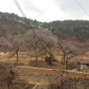 느릅나무가든 이미지