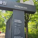 인천대공원(어린이동물원) | 인천대공원 어린이동물원 다녀온 후기