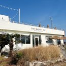 루루애견 이미지