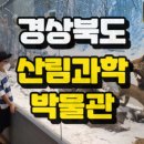 경상북도산림과학박물관(휴관) 이미지