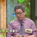 진리세탁 이미지