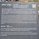영산정기시장 | 태백산 최단거리 유일사주차장코스 / 태백산장군봉 / 태백산천제단