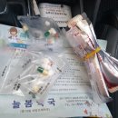 늘푸른가정의학과