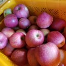 오전애마을 이미지